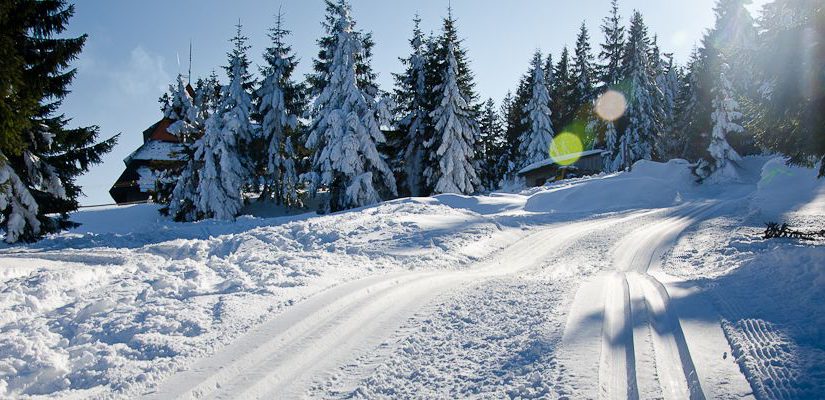 Nowe trasy biegowe na Turbacz oraz Puchar Kościeliska na otwarcie sezonu biegowego pod Tatrami.